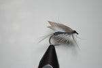 Blue Dun Wet Fly