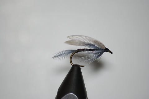 Blue Quill Wet Fly