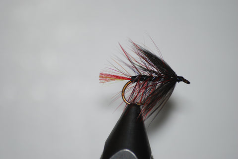 Clan Chief Wet Fly
