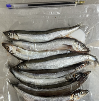 Capelin 8pk