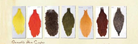 Chevron Genetic Hen Saddles