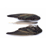 Veniard Starling Wing Pairs