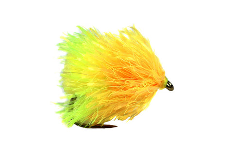 Fario Sunburst and Chartruese FAB