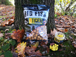 Dynamite Sweet Tiger & Corn Boilies