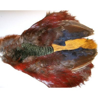 Veniard Golden Pheasant Complete Skins