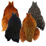 Whiting 4B Hen Capes