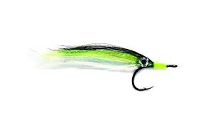 Fulling Mill GT Fly Flash Profile