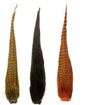Cock Pheasant Complete Tails