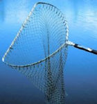 Sharpes Seaforth Trout Tele Net