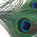 Peacock Cut Eye