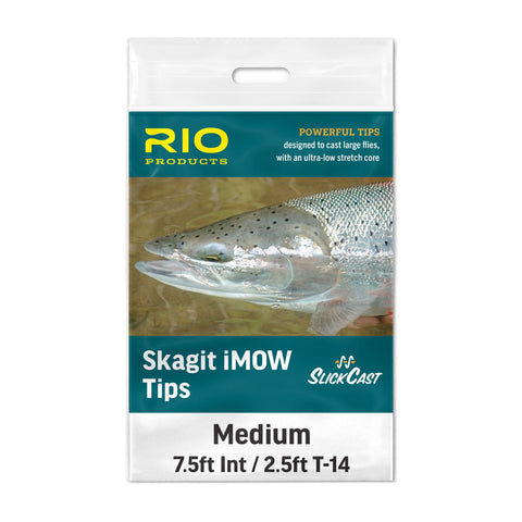 Rio Skagit Imow Tip