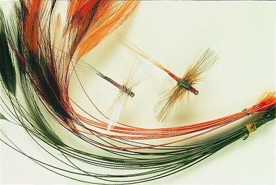 Stripped Hackle Quills