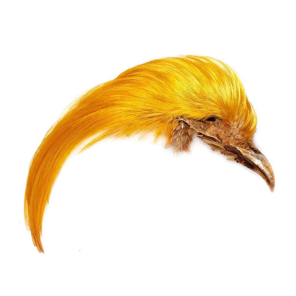 Golden Pheasant Veniard Tippet Feathers